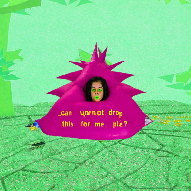 00-albumcover_canyounot